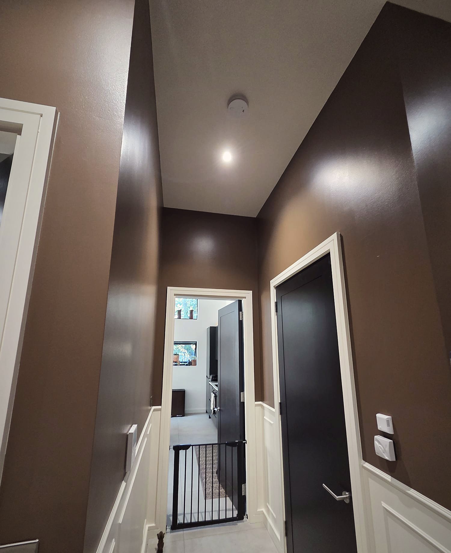 Chocolate hallway, white panelling