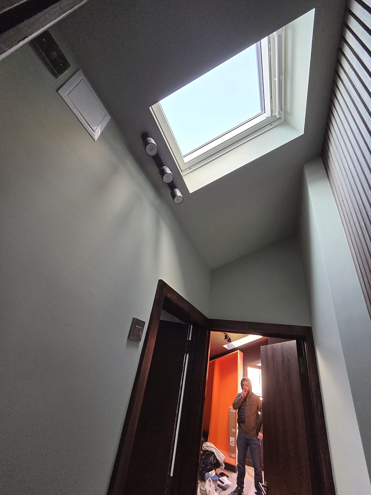Sage landing under a skylight, painted by Zakro